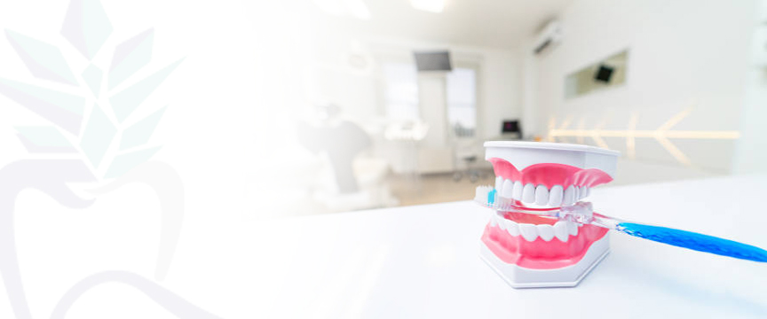Oral Hygiene